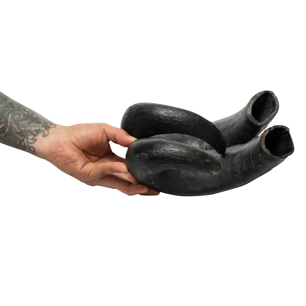 Water Buffalo Horn Dog Chews-2 Count-15 oz (WSP)