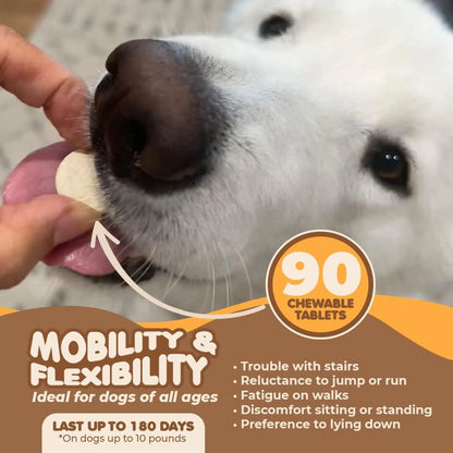Joint Supplement for Dogs