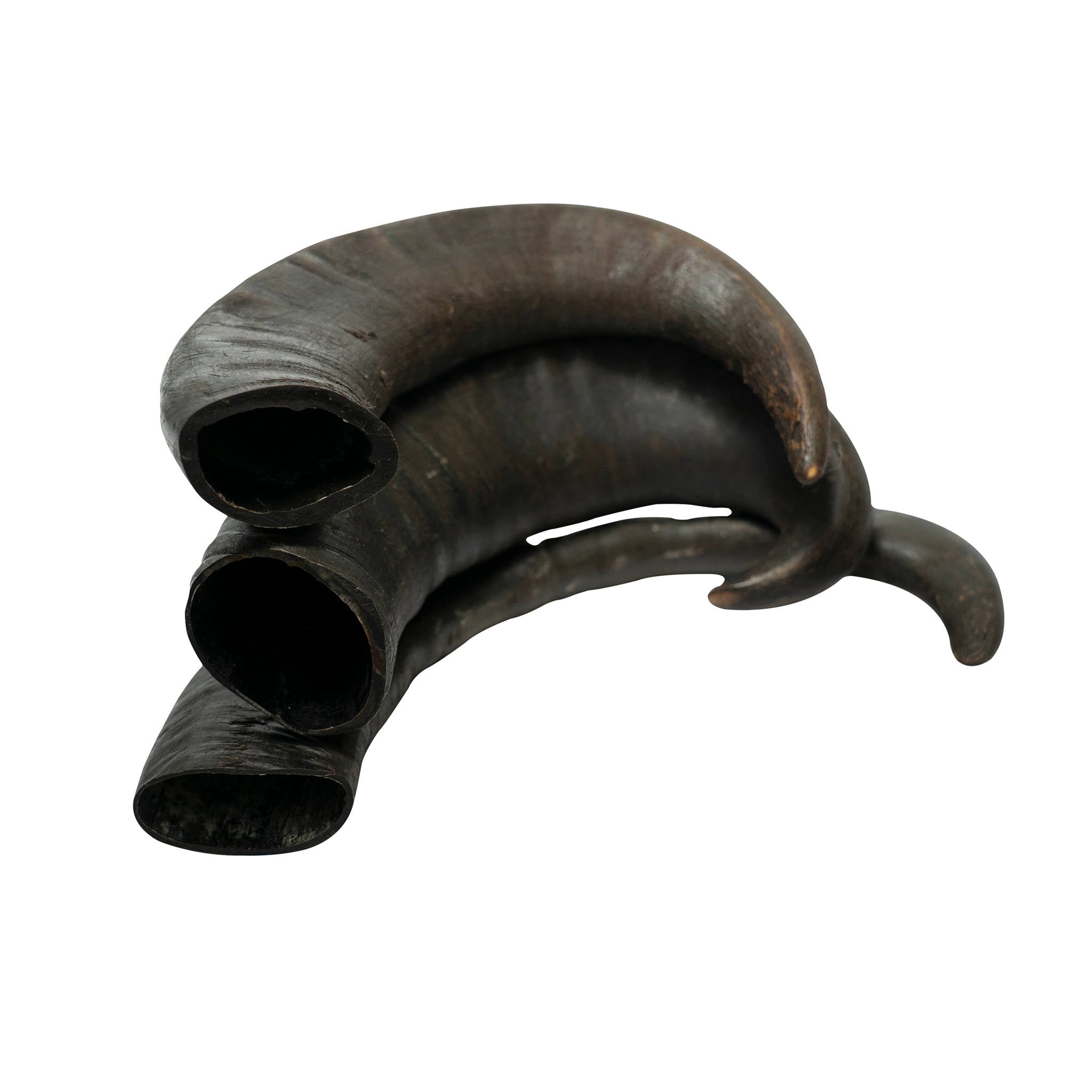 Water Buffalo Horn Dog Chews-2 Count-15 oz (WSP)