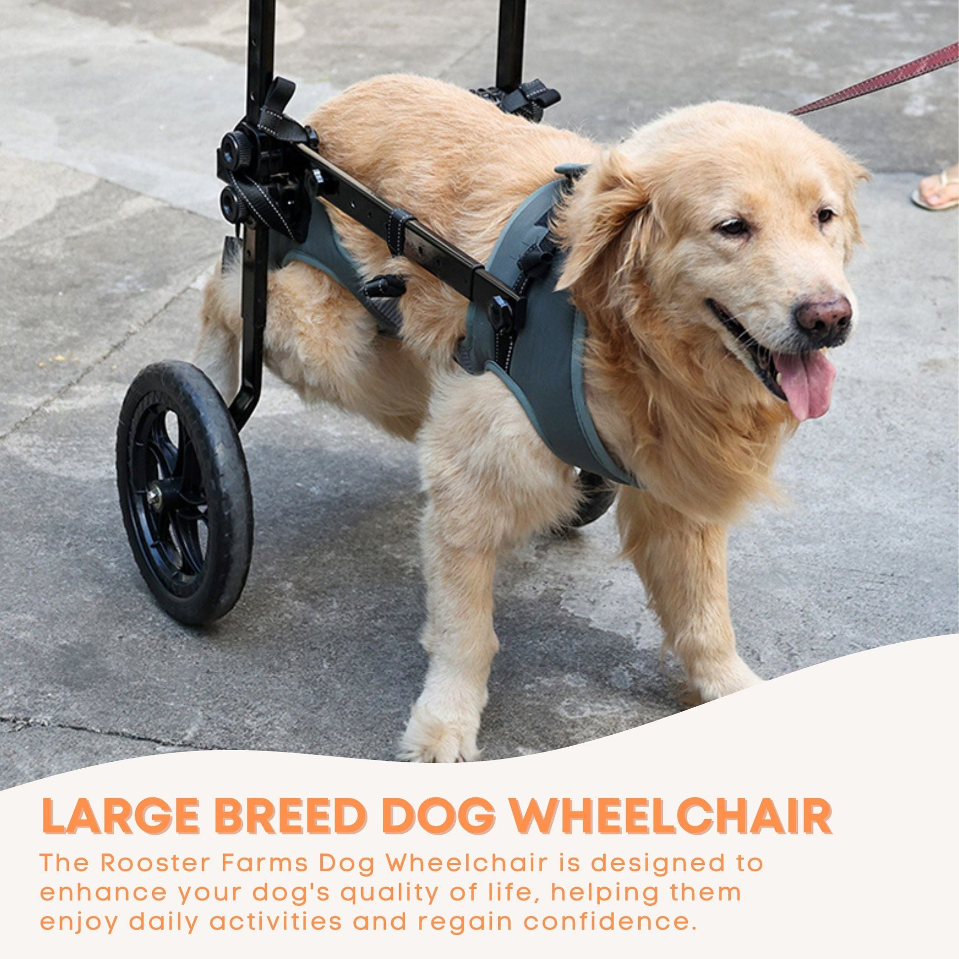 Rooster Farms Large Dog Wheelchair XXL Harness - Adjustable Back Leg Aid-4