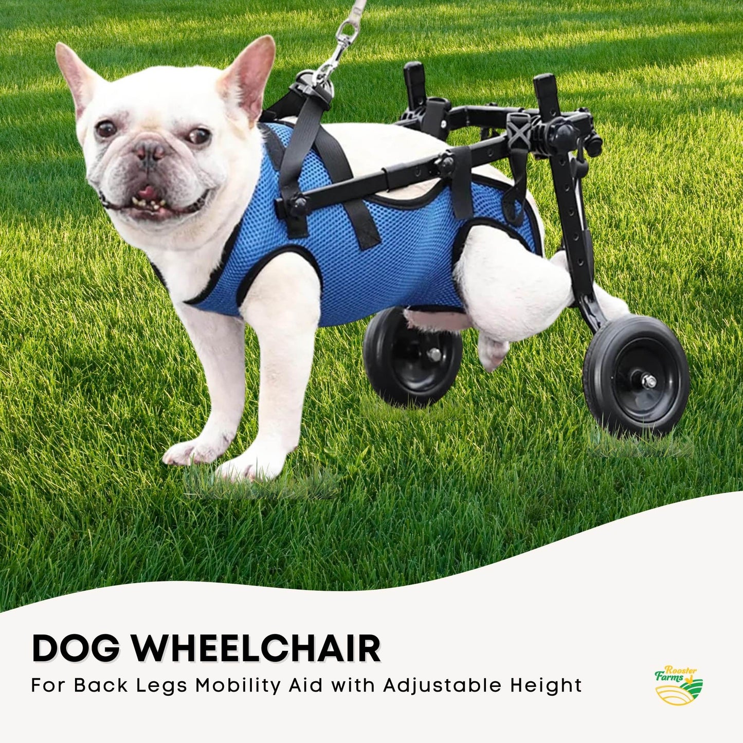 Rooster Farms Little Dog Wheelchair XS Harness - Adjustable Back Leg Aid-3
